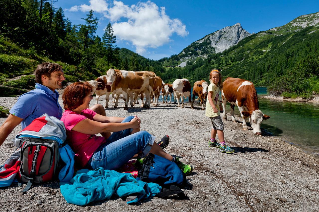 Hotel Ausseerland Bad Mitterndorf Exteriör bild